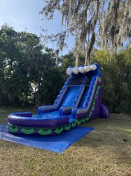 Single20lane 1743702065 20' Single Lane Purple Tidal Wave