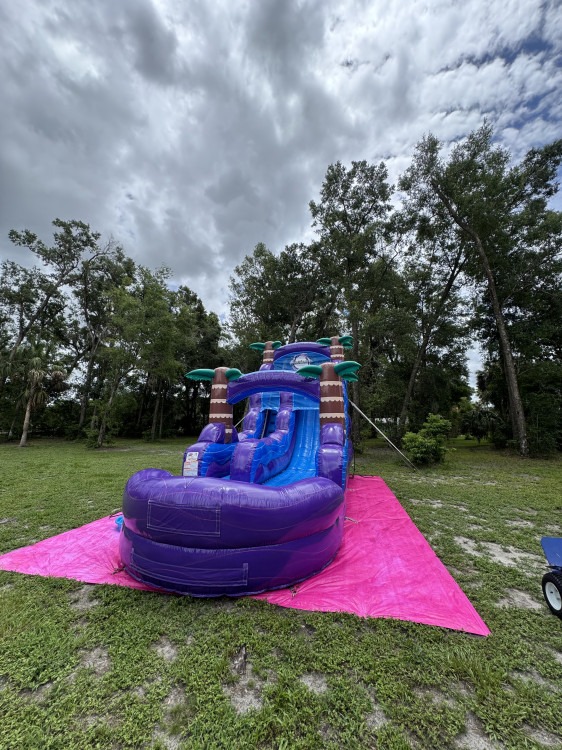18ft Purple Hurricane